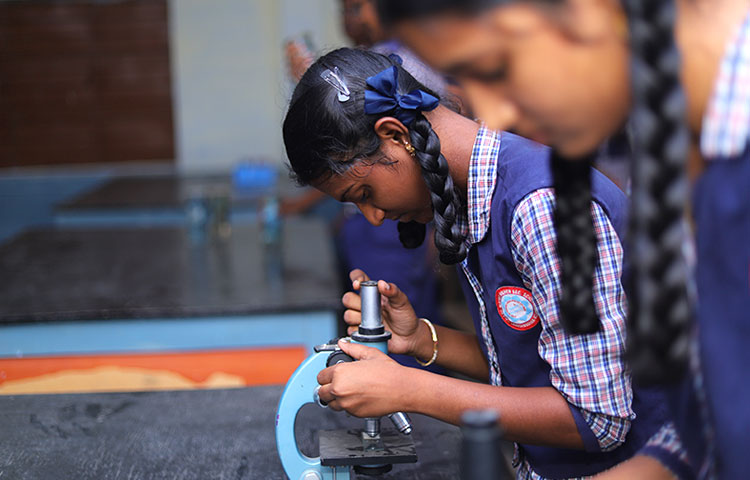 Merit Matriculation Higher Secondary School